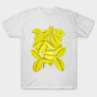 Yellow Leaves T-Shirt